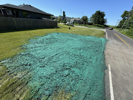 Why Hydroseeding Is the Best Choice for a Lush Summer Lawn in North Carolina