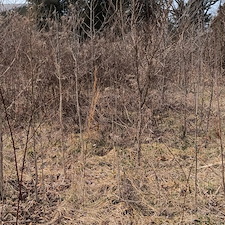 Bush Control 3