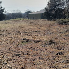 Bush Control 1