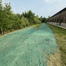 Residential Hydroseeding 5