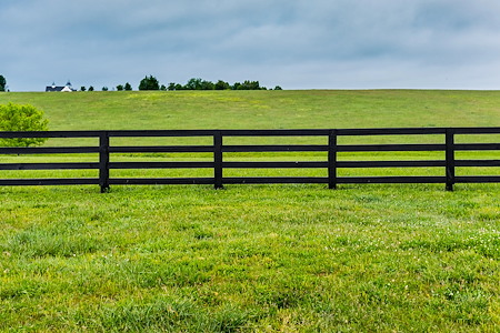 Pasture Renovation