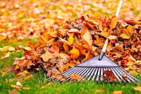 Seasonal Cleanup Thumbnail