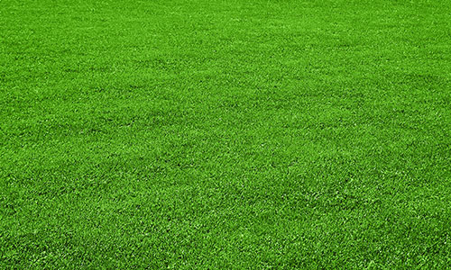 Aeration